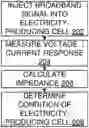Fig. 01 - CHARACTERIZATION OF ELECTRICITY-PRODUCING CELLS USING BROADBAND IMPEDANCE SPECTROSCOPY
