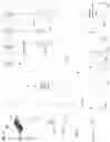 Fig. 08 - Unmanned aerial system communication duplicate registration ID detection and recovery