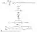 Fig. 02 - Transmission method of physical signal, terminal and base station
