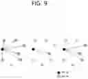 Fig. 10 - Method and apparatus for determining NDI value on SCI in NR V2X