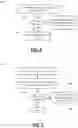 Fig. 09 - Short transaction identifier collision detection and reconciliation