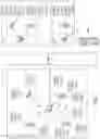 Fig. 02 - Dynamic selection of tunnel endpoints