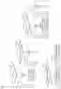 Fig. 12 - IMAGE ENCODING/DECODING METHOD AND DEVICE, AND RECORDING MEDIUM STORING BITSTREAM