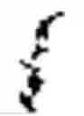 Fig. 586 - Quantization process for palette mode