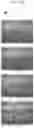 Fig. 46 - METHOD AND SYSTEM FOR ENCODING, DECODING AND PLAYBACK OF VIDEO CONTENT IN CLIENT-SERVER ARCHITECTURE