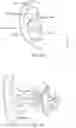 Fig. 02 - In-ear earpiece retaining structure
