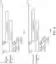 Fig. 09 - Method and device in communication node used for wireless communication