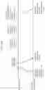 Fig. 122 - COMMUNICATION APPARATUS AND COMMUNICATION METHOD