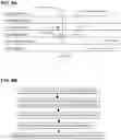 Fig. 09 - Rapid Uplink Access by Parallel Signaling on a 5G Random-Access Channel