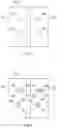 Fig. 04 - METHOD FOR PLANTING PLANTS HAVING STOLONS, AND WEED-PROOF SHEET