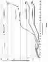 Fig. 05 - Sprayable polymer membrane for agriculture