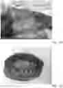 Fig. 13 - METHOD AND APPARATUS FOR RECONDITIONING ORGANS