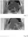 Fig. 21 - METHOD AND APPARATUS FOR RECONDITIONING ORGANS