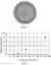 Fig. 02 - LIPID ENCASING AMPHIPATHIC PEPTIDES