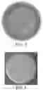 Fig. 03 - LIPID ENCASING AMPHIPATHIC PEPTIDES