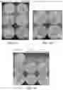 Fig. 04 - LIPID ENCASING AMPHIPATHIC PEPTIDES