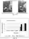 Fig. 07 - LIPID ENCASING AMPHIPATHIC PEPTIDES