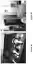 Fig. 04 - COMPOSITIONS AND METHODS FOR REPELLING AND KILLING TICKS AND DETACHMENT OF FEEDING TICKS