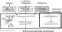 Fig. 01 - COMPOSITIONS AND METHODS FOR MODULATING IMMUNITY IN PLANTS