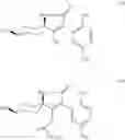 Fig. 03 - ACTIVE COMPOUND COMBINATIONS HAVING INSECTICIDAL/ACARICIDAL PROPERTIES