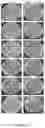 Fig. 04 - Method for producing Cu-embedded plastic masterbatches