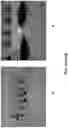 Fig. 11 - GENELIGHT CULTURES AND EXTRACTS AND APPLICATIONS THEREOF