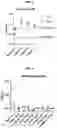 Fig. 09 - Fermented beverages and methods of production thereof