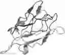 Fig. 01 - Sweet protein from truffle