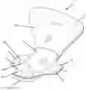 Fig. 01 - Body shape enhancing apparatus and method