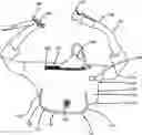 Fig. 01 - Consumer Convenience and Sanitary Pack