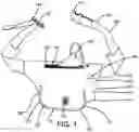 Fig. 02 - Consumer Convenience and Sanitary Pack