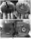 Fig. 02 - Wire Wheel Brush