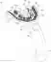 Fig. 01 - Automatic toothbrushes