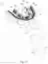 Fig. 02 - Automatic toothbrushes