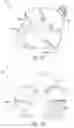 Fig. 08 - Automatic toothbrushes