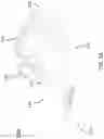 Fig. 09 - HANDHELD VACUUM DEVICE HAVING A HOOK