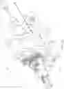 Fig. 09 - Atherectomy catheter drive assemblies