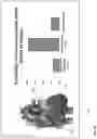 Fig. 13 - PREDICTING FRACTIONAL FLOW RESERVE FROM ELECTROCARDIOGRAMS AND PATIENT RECORDS