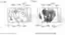 Fig. 07 - MEDICAL SYSTEM, INFORMATION PROCESSING DEVICE, AND INFORMATION PROCESSING METHOD