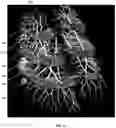 Fig. 10 - Method and system for imaging