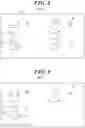 Fig. 07 - Radiation imaging system, radiation imaging method, and recording medium