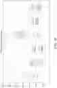 Fig. 23 - NEEDLE FOR TRANSCUTANEOUS ANALYTE SENSOR DELIVERY