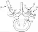 Fig. 01 - Head position and driver combination instrument