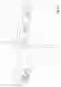 Fig. 19 - Extramedullary internal bone lengthening and fixation device with dynamic axial stabilization