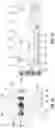 Fig. 11 - Bi-directional pneumatic impactor for orthopedic devices