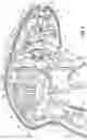 Fig. 03 - ROTATION ASSEMBLY FOR ENERGY-BASED SURGICAL INSTRUMENTS