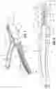 Fig. 06 - ROTATION ASSEMBLY FOR ENERGY-BASED SURGICAL INSTRUMENTS