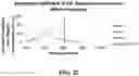 Fig. 31 - SYSTEMS AND METHODS FOR LASER-INDUCED CALCIUM FRACTURES