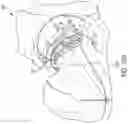Fig. 12 - Systems and methods for generating a three-dimensional model of a joint from two-dimensional images