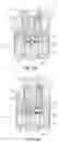 Fig. 30 - Tool driver with reaction torque sensor for use in robotic surgery